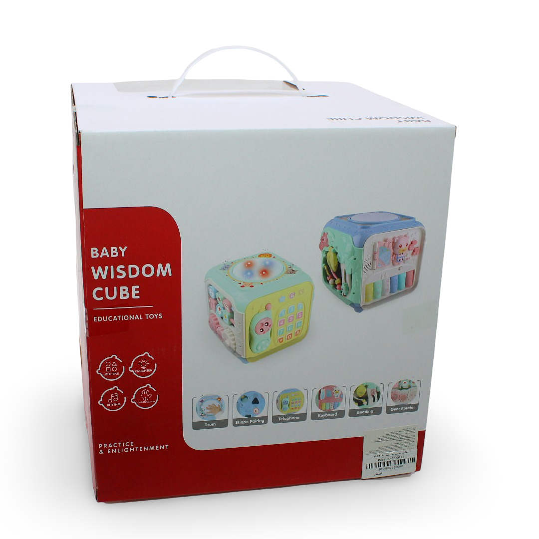 Baby Wisdom Cube Educational Toy
