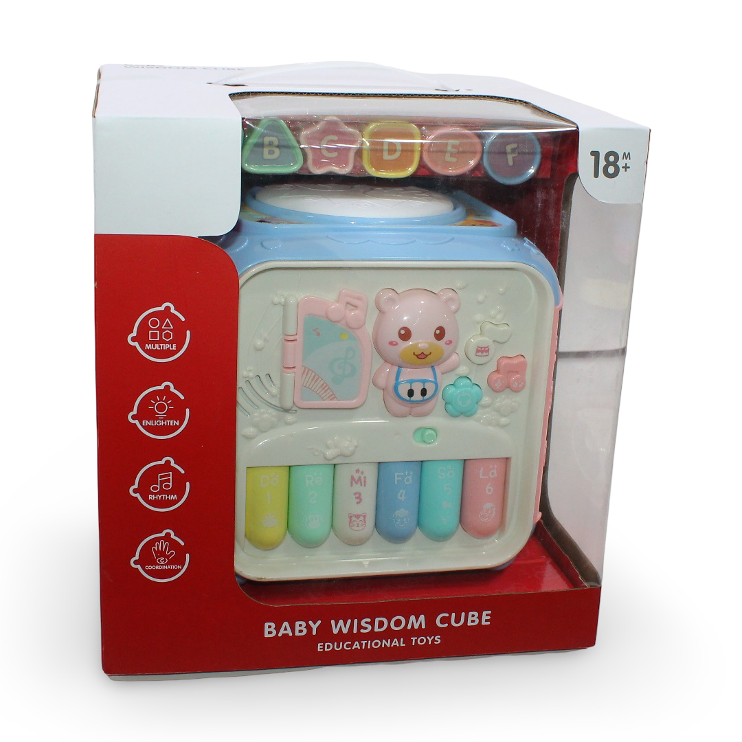 Baby Wisdom Cube 18m+