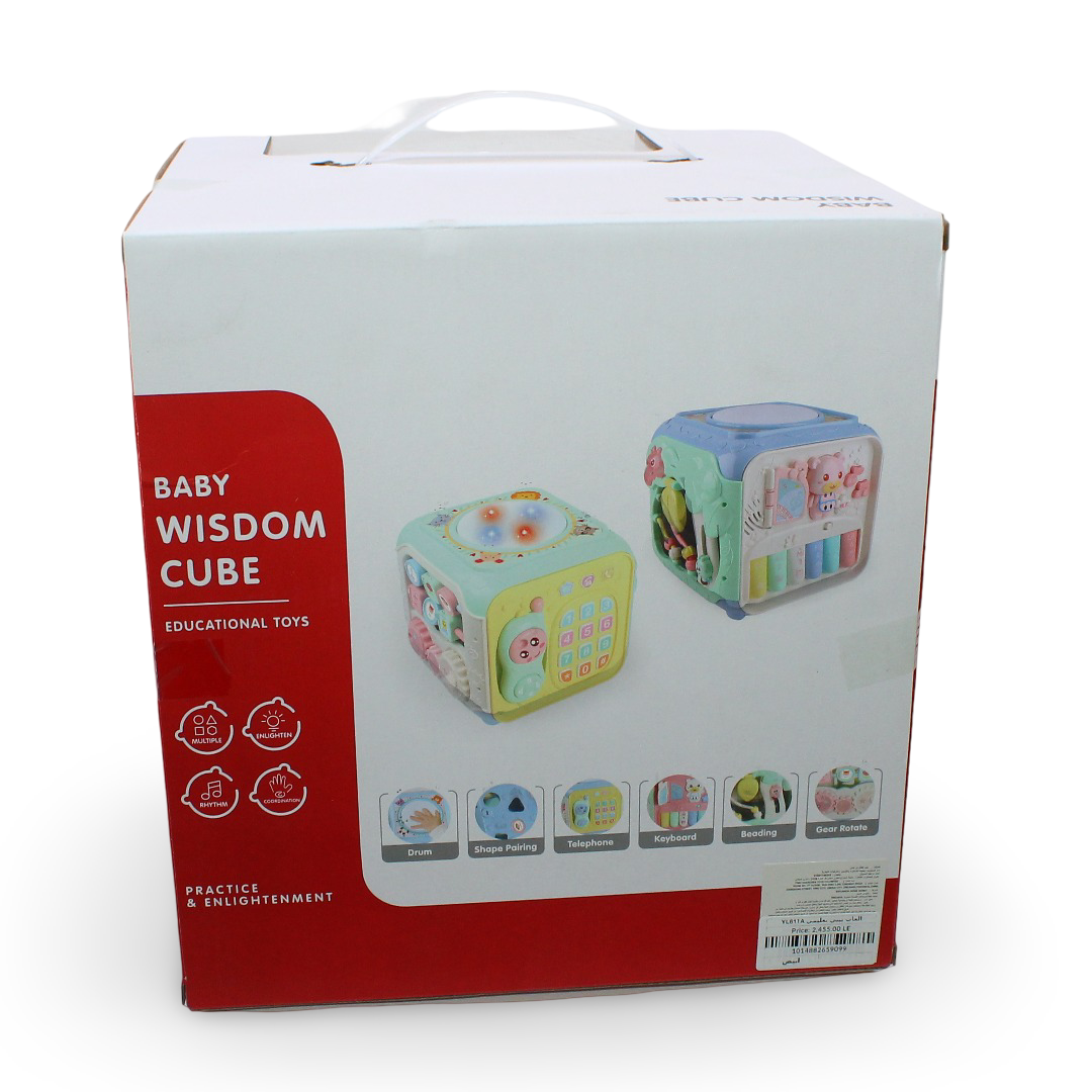 Baby Wisdom Cube 18m+