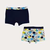 Printed Boxer Shorts (Pack Of 2)