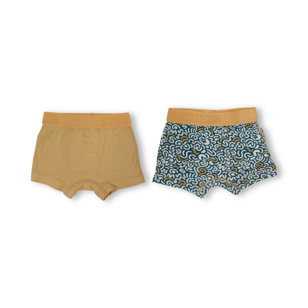 Boys Cotton Boxer Shorts (Pack Of 2)