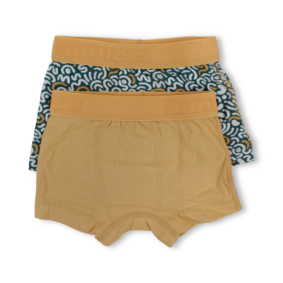 Boys Cotton Boxer Shorts (Pack Of 2)