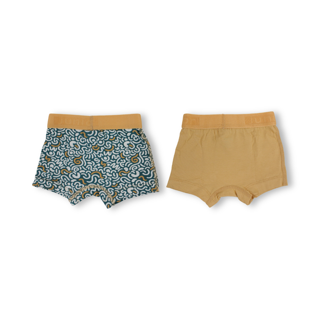 Boys Cotton Boxer Shorts (Pack Of 2)