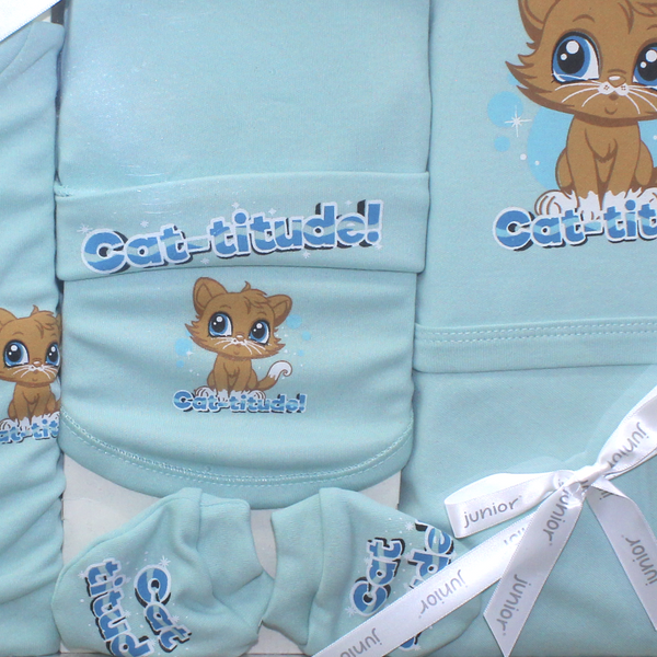 Baby Gift Clothes Box Set – Baby Blue with Cat Print