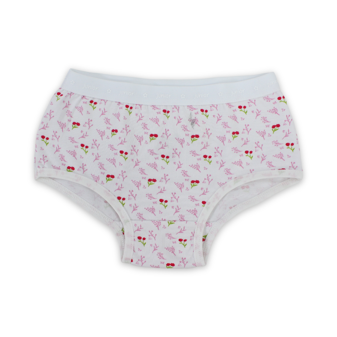 Girls Cotton Pantie – Off-White with Flowers Print - Clothing - Junior