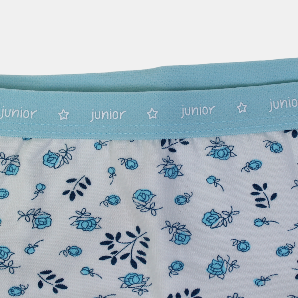 Girls Cotton Panties – Light Blue Floral Design