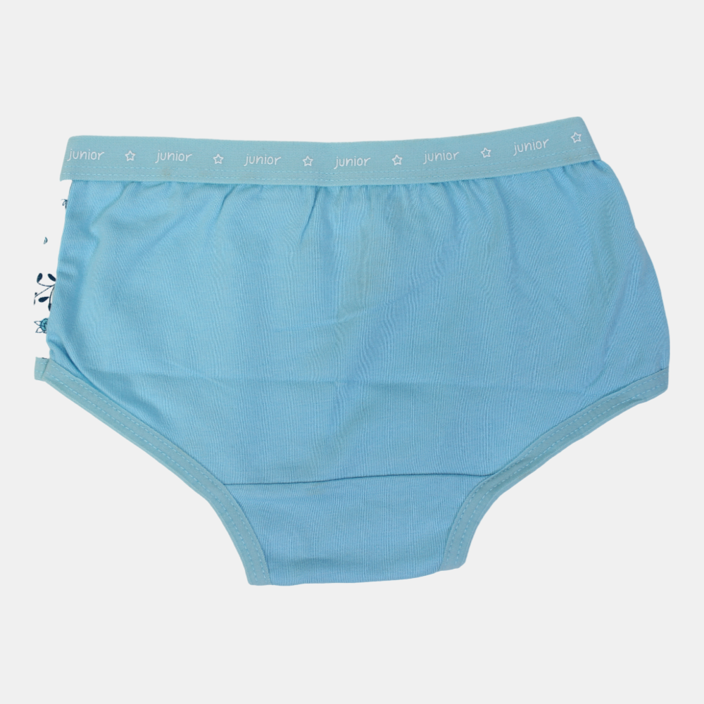 Girls Cotton Panties – Light Blue Floral Design