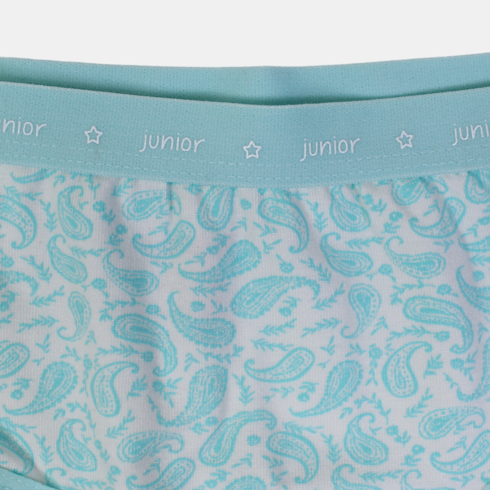 Girls Cotton Panties – Aqua Floral Design