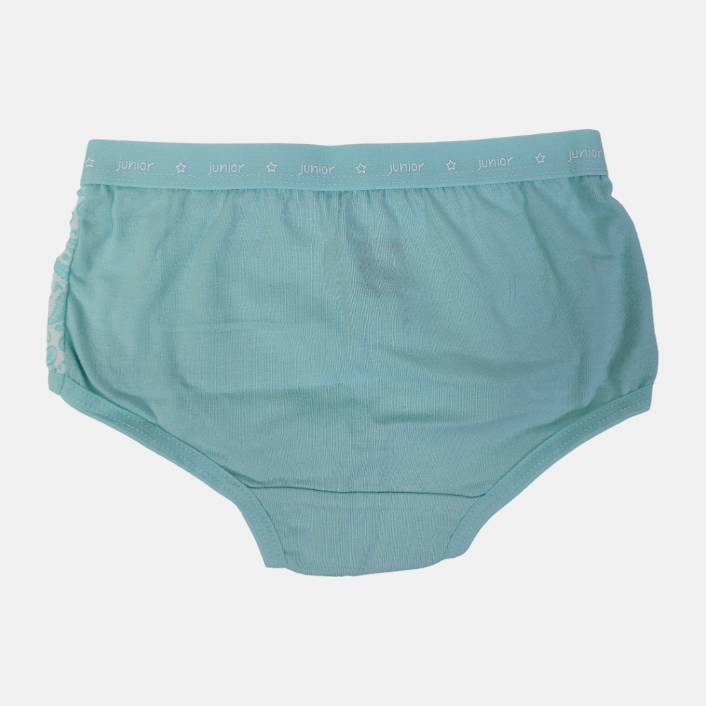 Girls Cotton Panties – Aqua Floral Design