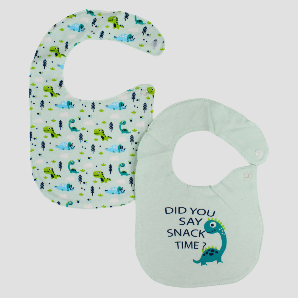 Teal & Aqua Dinosaur Bibs (2-Pack)