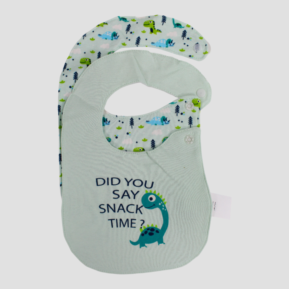 Teal & Aqua Dinosaur Bibs (2-Pack)