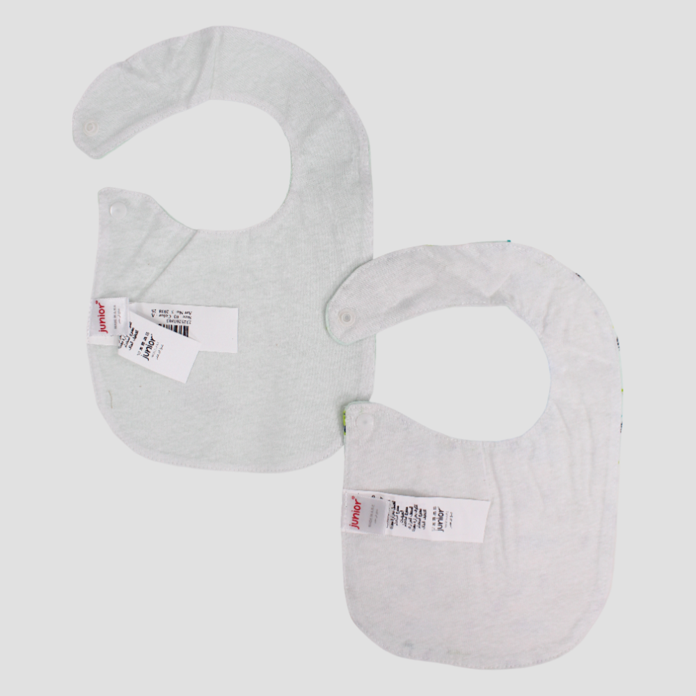 Teal & Aqua Dinosaur Bibs (2-Pack)