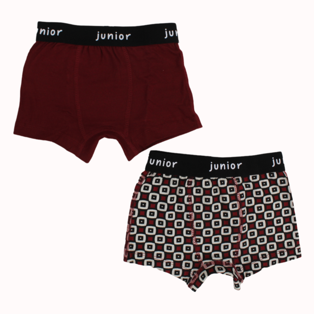 Multicolored Boys Cotton Boxer Shorts – Pack of 2
