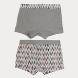 Printed Boxer Shorts (Pack Of 2)