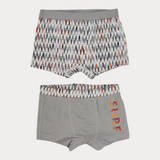 Printed Boxer Shorts (Pack Of 2)