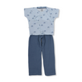 Babyblue