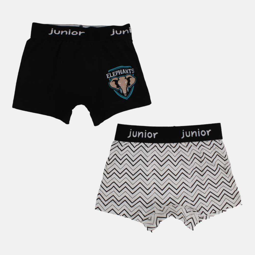 Boys Cotton Boxer Shorts –  (Pack of 2)