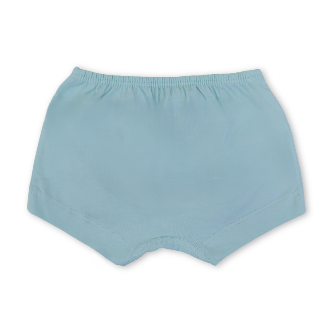 Girls Cotton Pantie – Aqua with "My Little Princess" Print