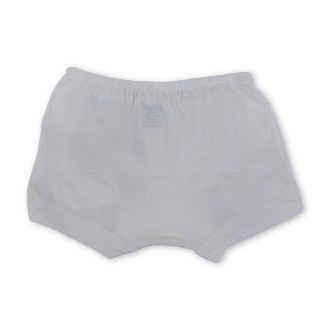 Girls Cotton Pantie – Off-White with Flamingo Print