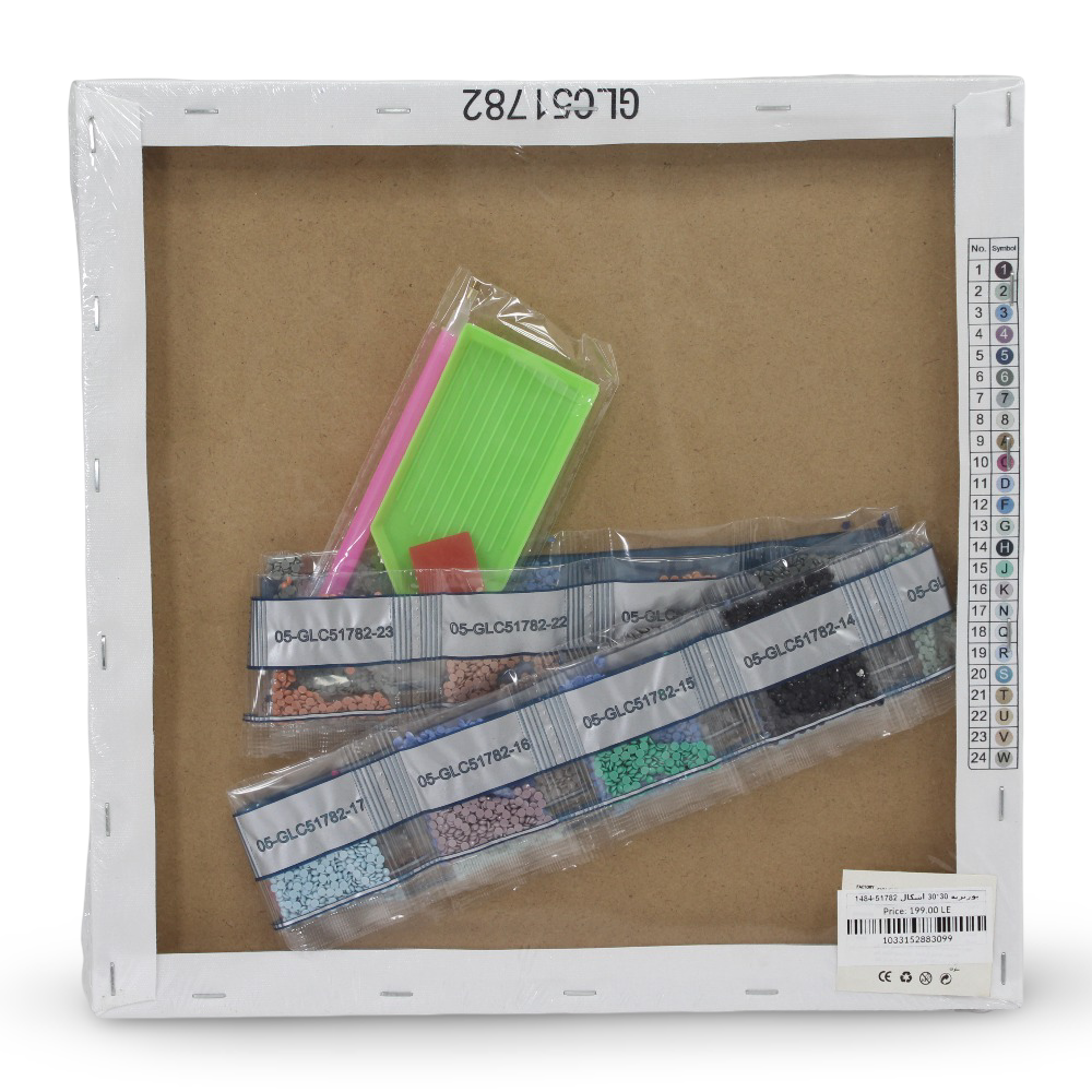 Diamond Painting Art Kit – Frozen Portrait 30×30 cm