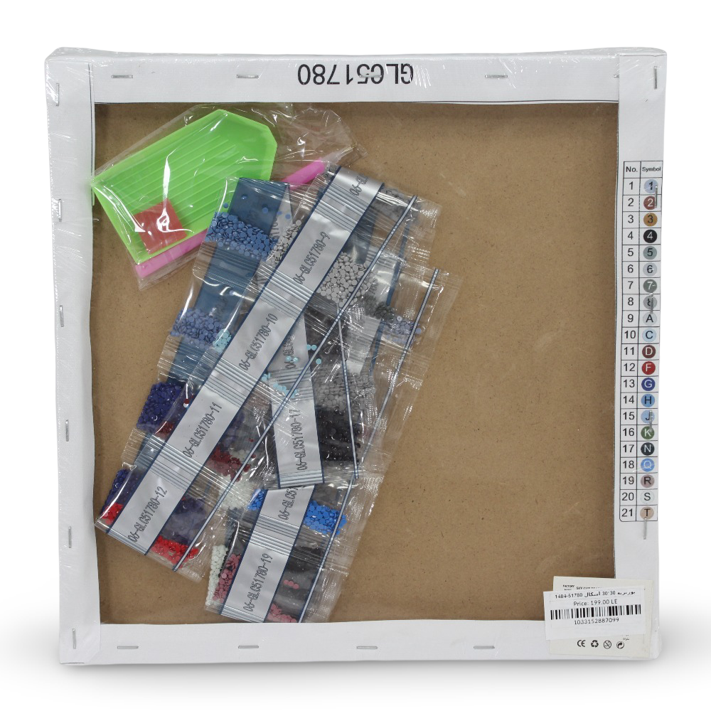 Diamond Painting Art Kit – Mickey & Minnie Mouse Portrait 30×30 cm