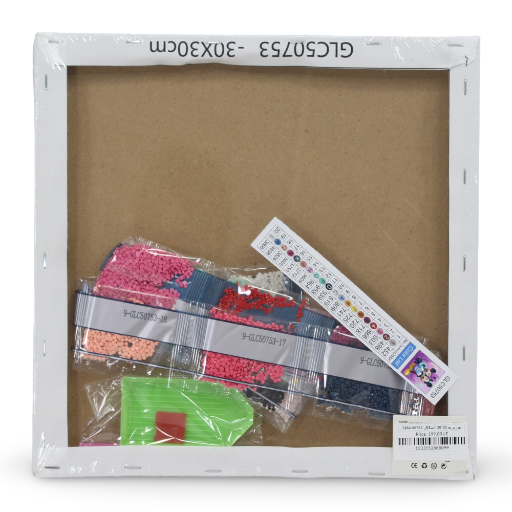 Diamond Painting Kit – Mickey & Minnie Mouse Portrait 30×30 cm