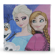 Diamond Painting Art Kit – Frozen Portrait 30 × 30 cm