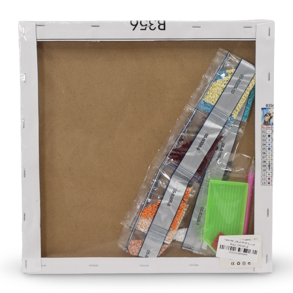 Diamond Painting Art Kit – Frozen Portrait 30×30 cm