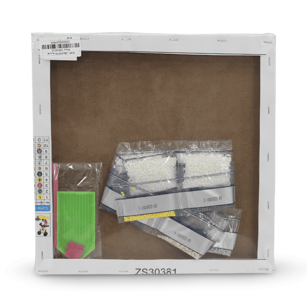 Mickey Mouse Diamond Painting Art Kit 30*30cm