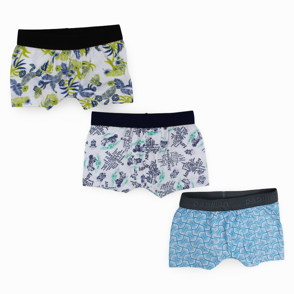 Boys Cotton Boxer Shorts (Pack Of 3)