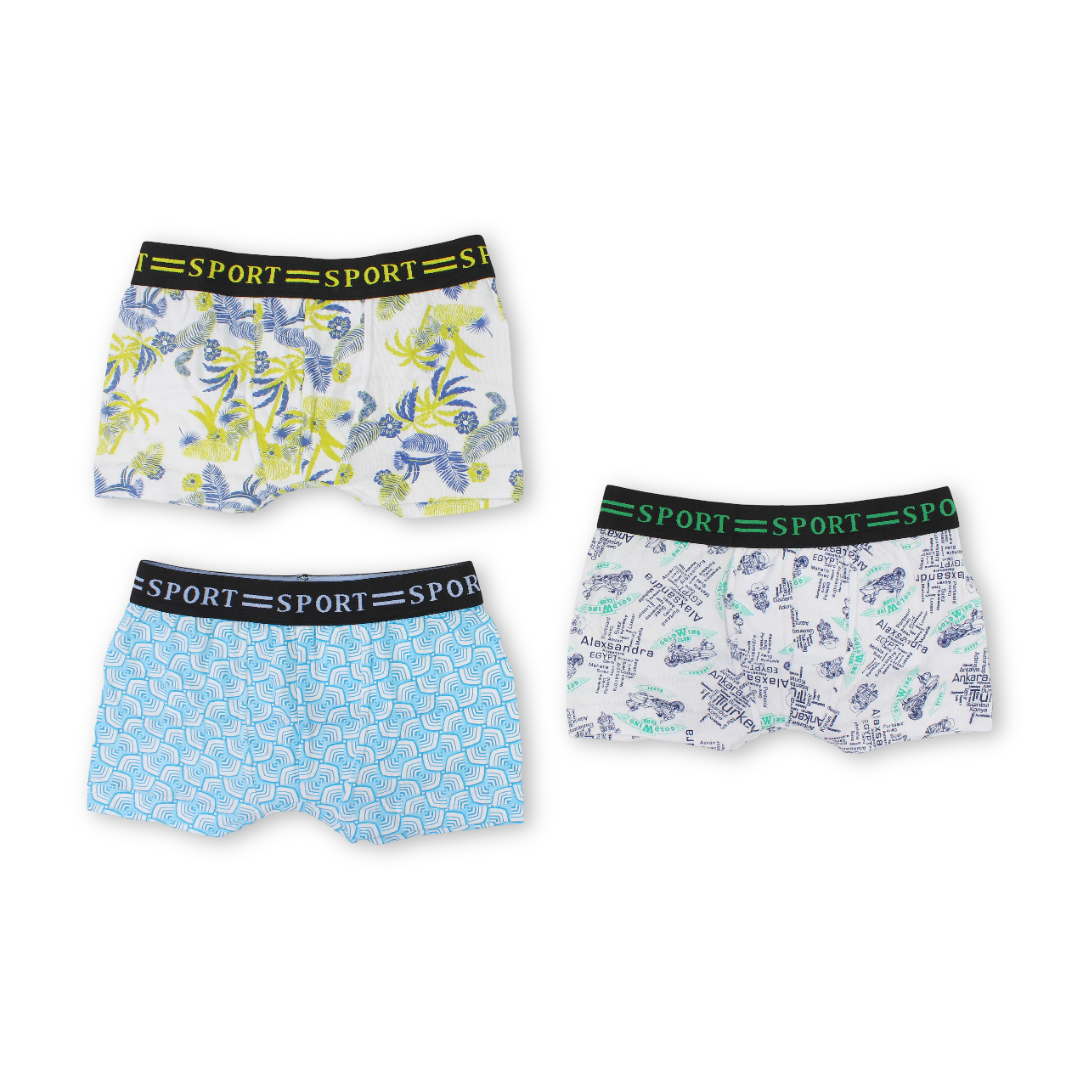 Boys Cotton Boxer Shorts – Pack Of 3