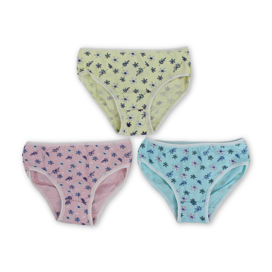 Girls Cotton Panties Multicolor – Pack Of 3 - Clothing - Papillion