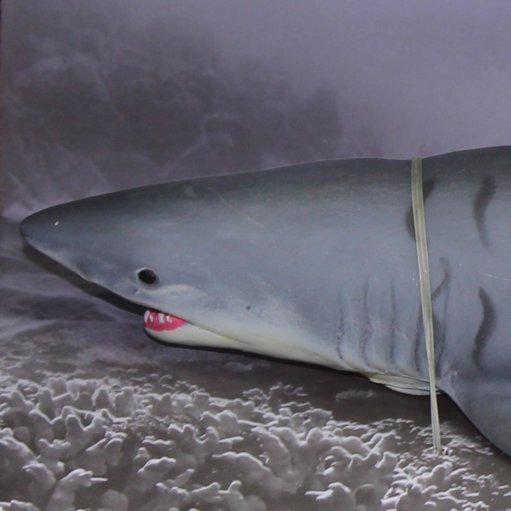 The Sea World Model Series – Shark Figurine