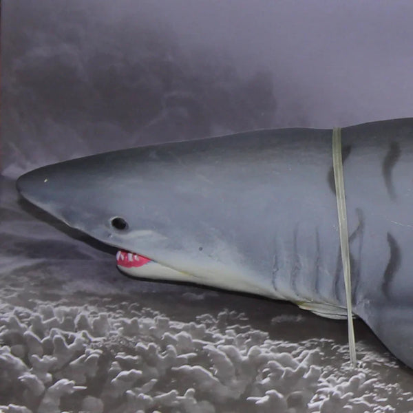 The Sea World Model Series – Shark Figurine