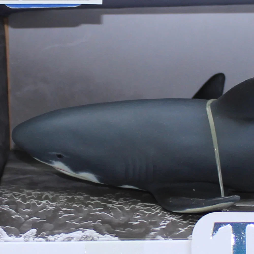 The Sea World Series Model  – Grey Shark Figurine