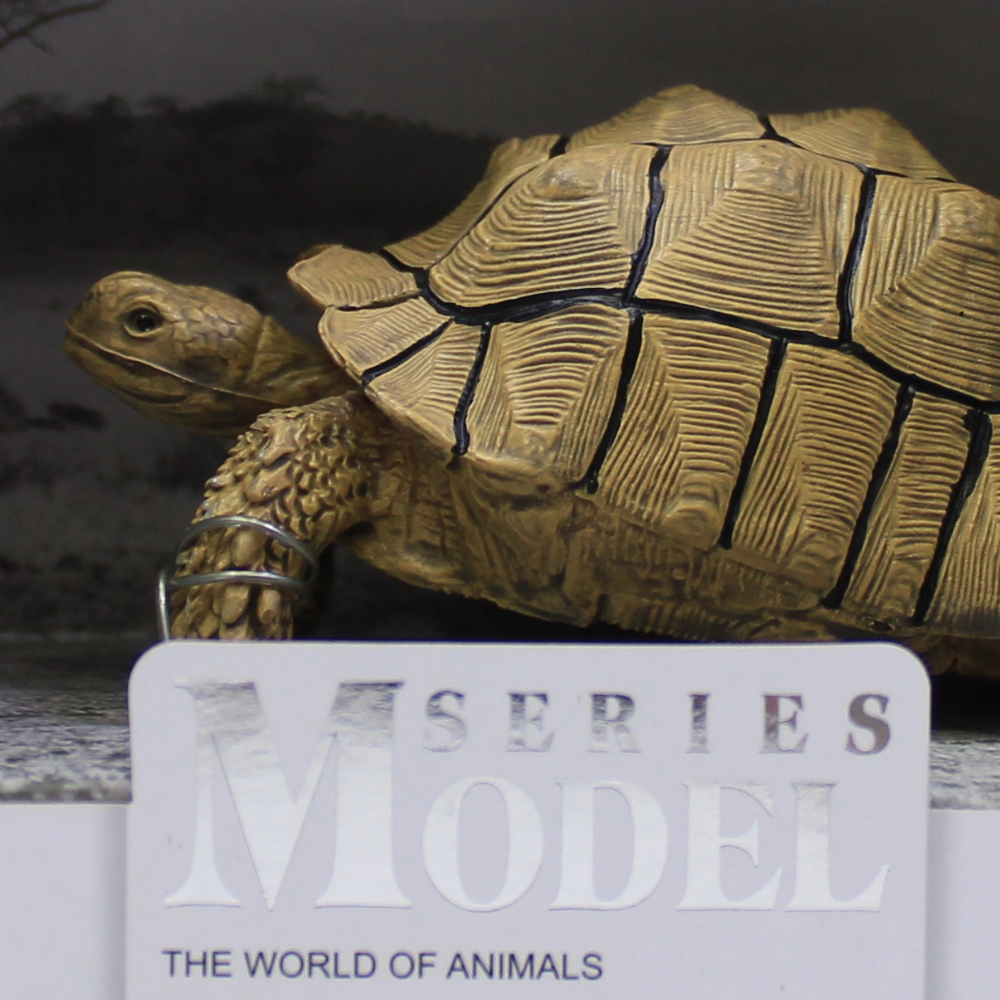 The World of Animals Series Model – Tortoise Figurine