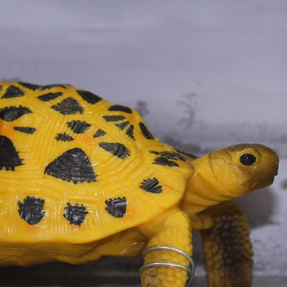 Animals Model Series – Turtle Figurine