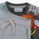 Baby Boys Cotton 2- Piece Outfit Set - Animal Print