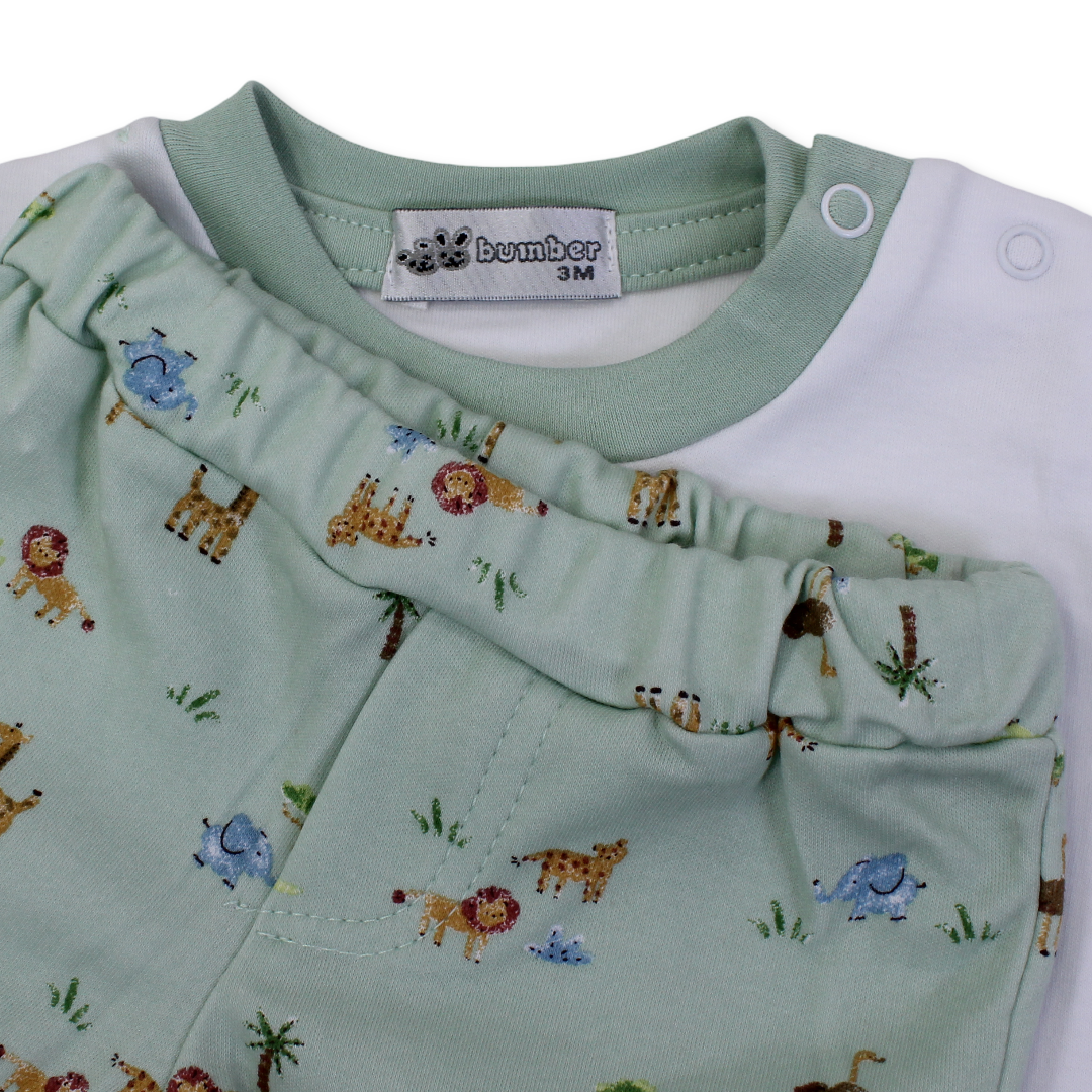 Baby Boys Cotton Pajama – Animals Print