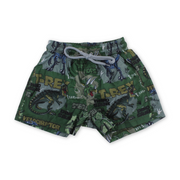 Boys Swim Trunks – Green with Dino Print