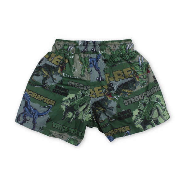 Boys Swim Trunks – Green with Dino Print