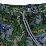 Boys Swim Shorts – Green with Dinosaur Print