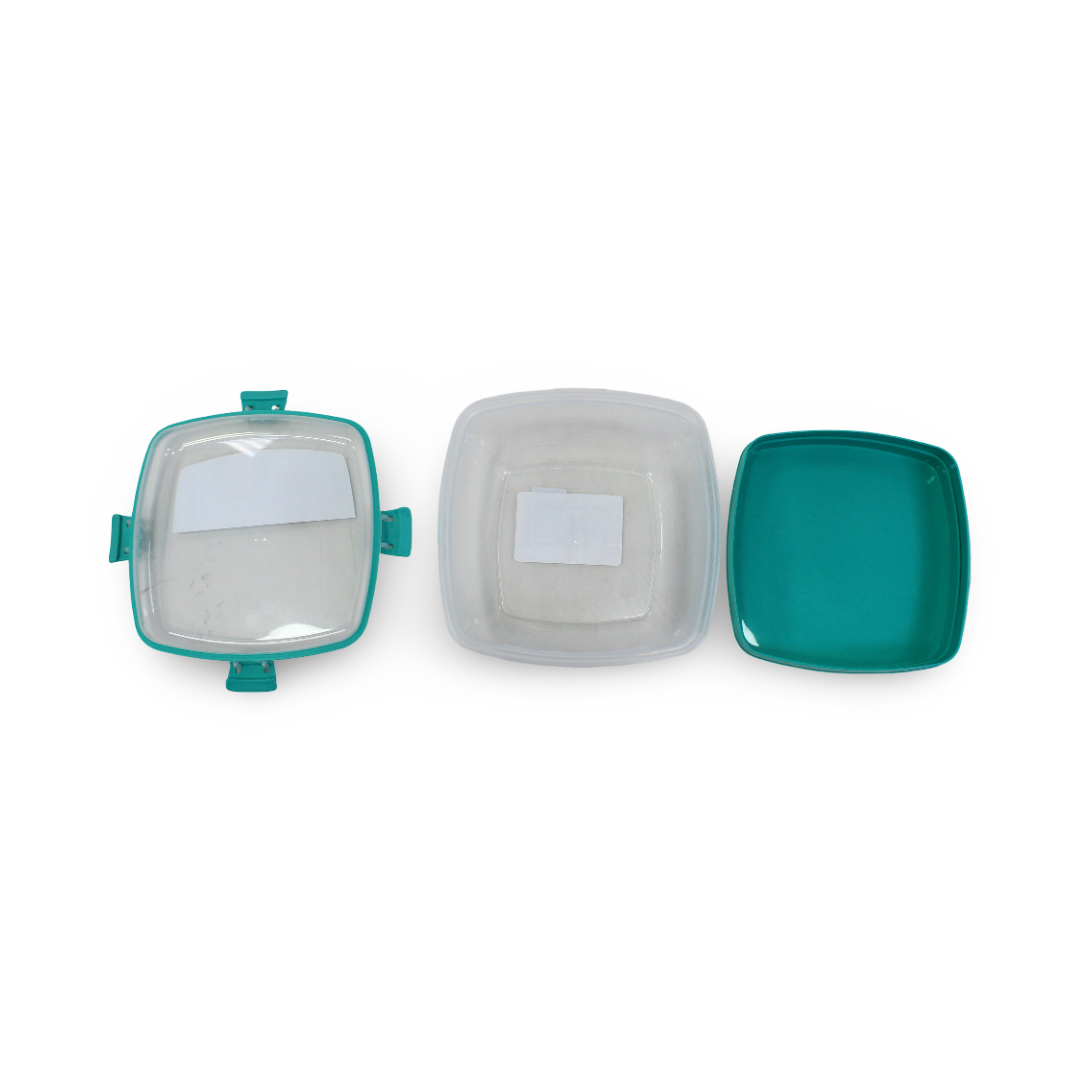 Sistema To Go Salad + Sandwich Food Storage 1.63L – Aqua