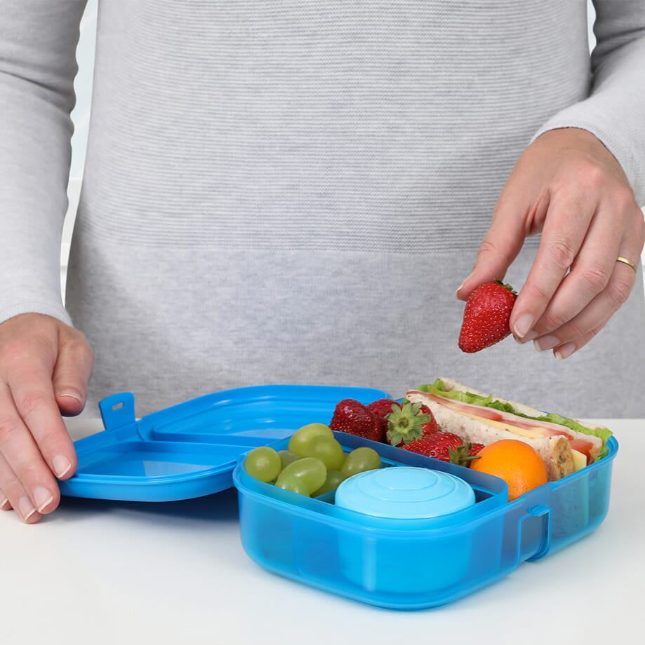Sistema Plastic Lunch Box – Blue