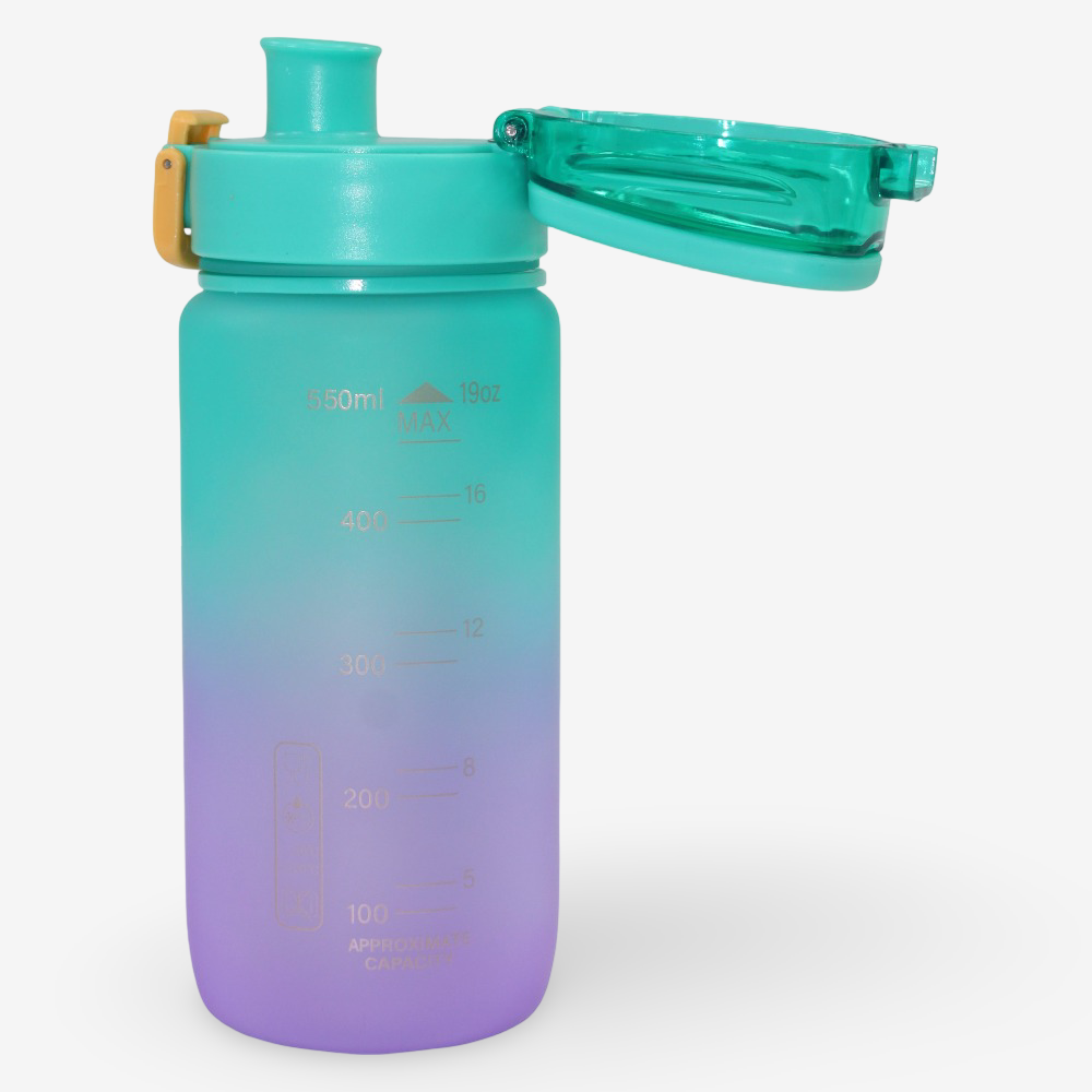 Plastic Water Bottle – Green/Purple (550ml)