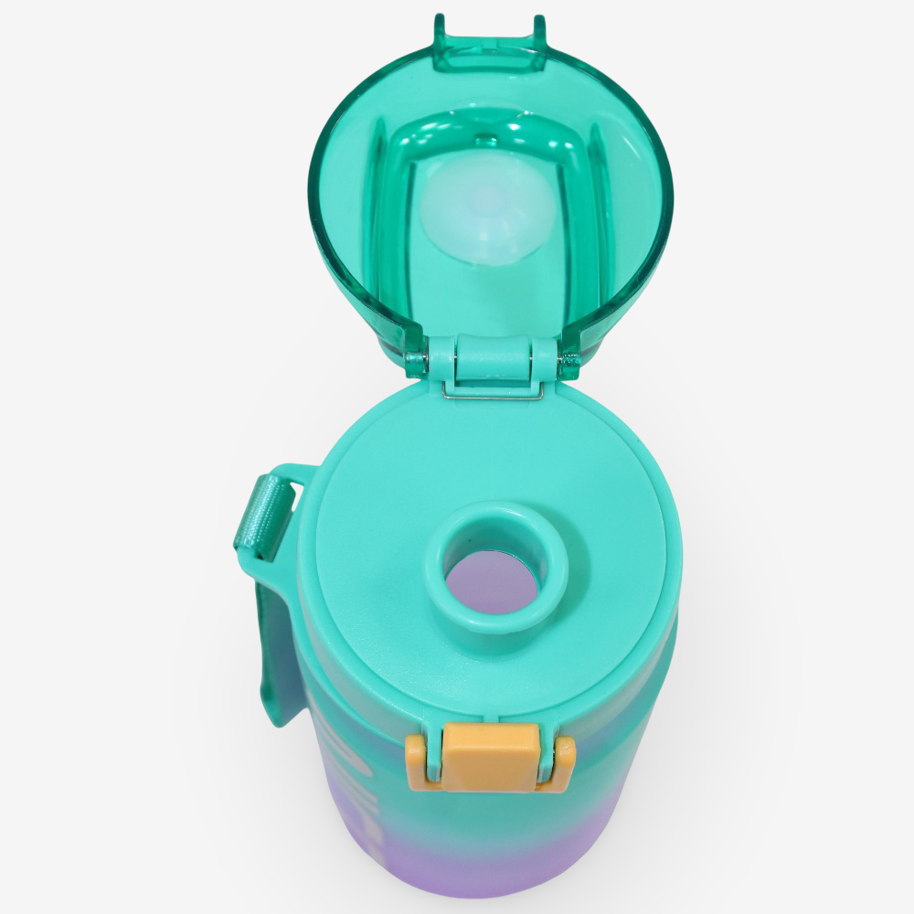 Plastic Water Bottle – Green/Purple (550ml)