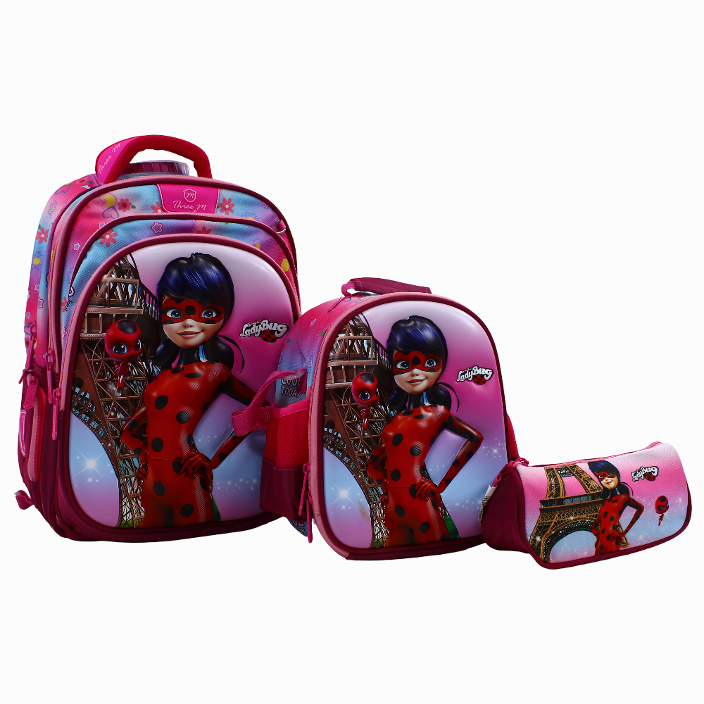 Ladybug School Set – 16 Inches