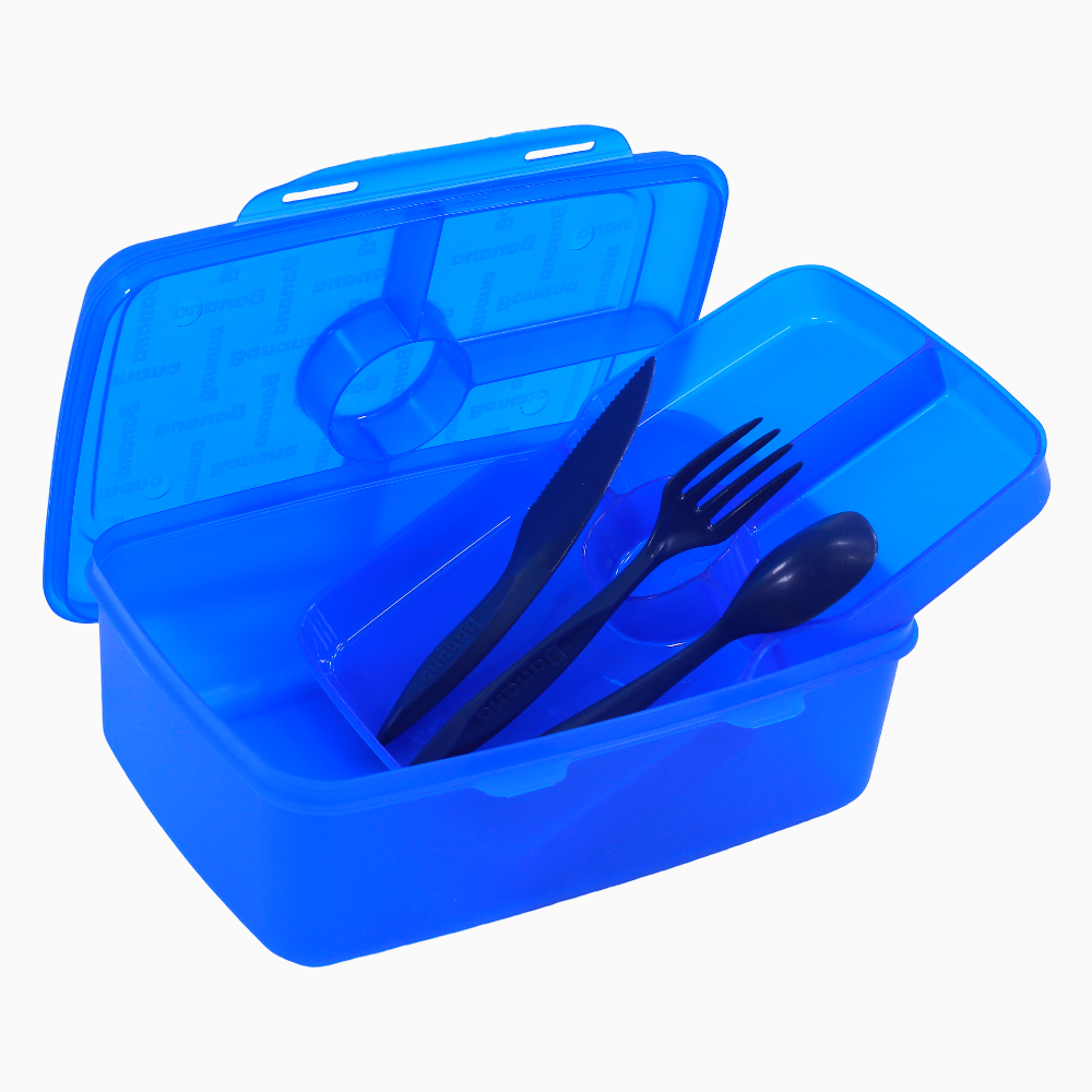 Blue Transparent Plastic Lunch Box – 2L