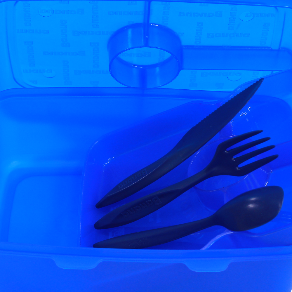 Blue Transparent Plastic Lunch Box – 2L