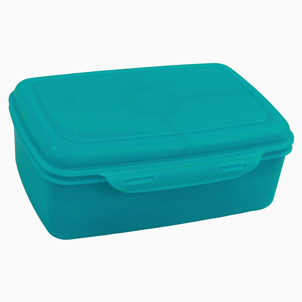 Turquoise Transparent Plastic Lunch Box – 2L